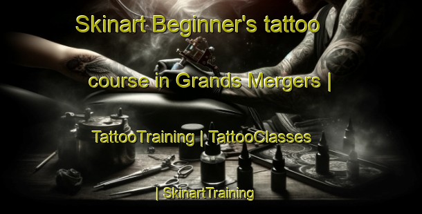 Skinart Beginner's tattoo course in Grands Mergers | TattooTraining | TattooClasses | SkinartTraining-France
